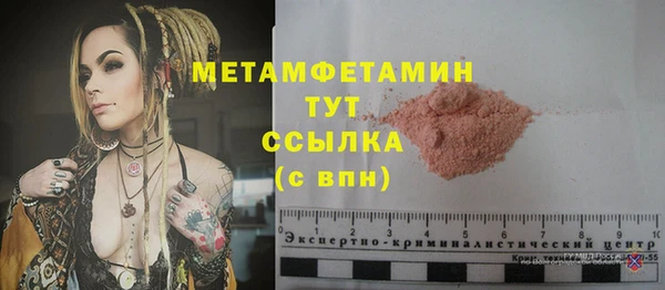 прущие грибы Верхний Тагил