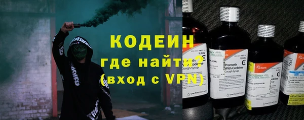 прущие грибы Верхний Тагил