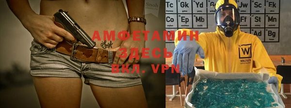 прущие грибы Верхний Тагил