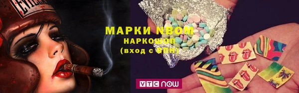 прущие грибы Верхний Тагил