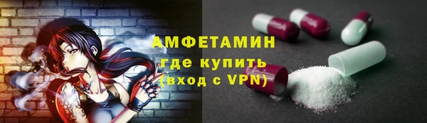 прущие грибы Верхний Тагил