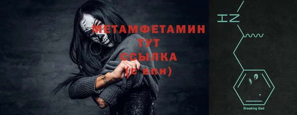 прущие грибы Верхний Тагил