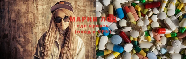 прущие грибы Верхний Тагил