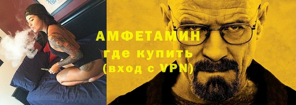 прущие грибы Верхний Тагил