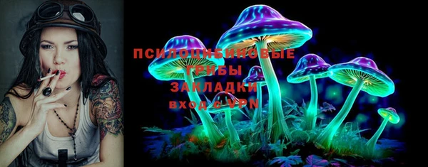 прущие грибы Верхний Тагил
